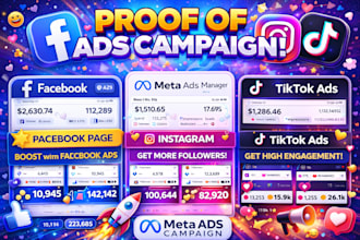 do facebok ads campaign marketing promotion for shopify store sales and traffic