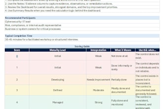 perform a professional cybersecurity risk assessment with actionable report