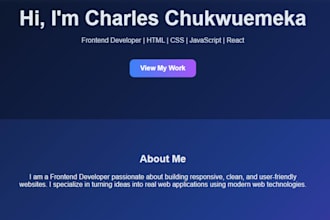 fix HTML CSS javascript bugs and responsive website issues