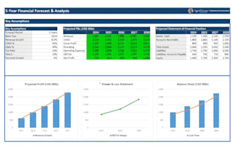 create investor ready financial projections and cash flow forecasts
