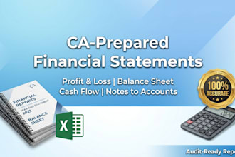 prepare professional financial statement profit and loss balance sheet cash flow