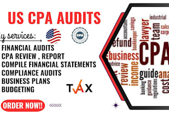 provide CPA audit for fdd franchise update and financial statements