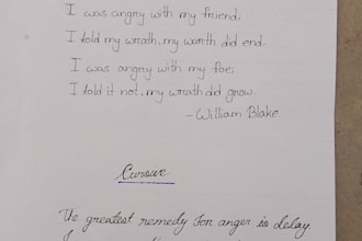 provide beautiful an clean handwritten work copy or custom