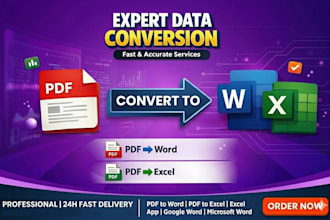 do accurate data entry and PDF conversion