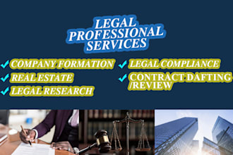 offer corporate compliance, contract drafting and document review