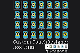 develop custom touchdesigner tools, scripts, and workflow solutions
