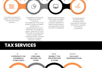prepare professional financial statements