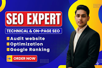 do simple on page SEO setup for all website with audit report done