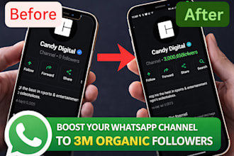 viral whatsapp channel promotion to 3m organic followers, whatsapp promotion