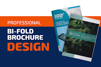 design the ideal brochure for your business or company
