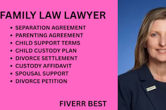 handle divorce cases, child custody, spousal support, and family law disputes
