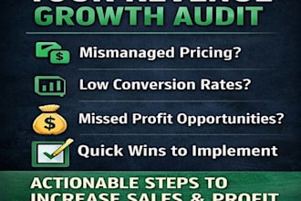 audit your business and find hidden revenue opportunities