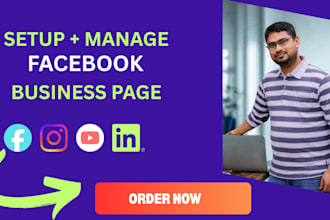 setup and manage a professional facebook page