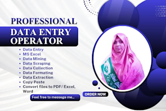do virtual assistant data entry specialist excel expert