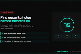 find security vulnerabilities in your website before hackers do