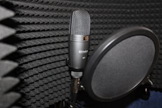 bring you character to life with voices and storytelling
