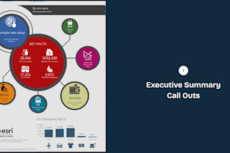 run an infographic demographic report USA only