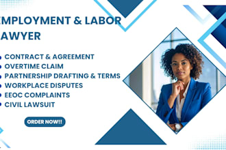 be your labor and employment lawyer and consultant