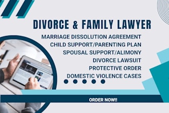 draft family law documents, child custody, divorce, and lawsuits