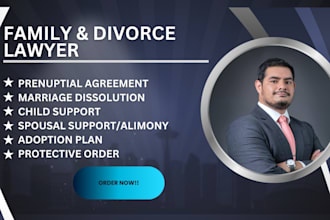 draft family law, adoption plan, guardianship and child custody documents