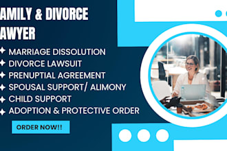 be your civil, family, and divorce lawyer