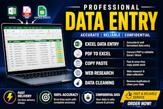 do data entry, web research and excel data entry jobs