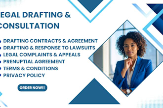 draft your court motion, appeal, complaint, and petitions