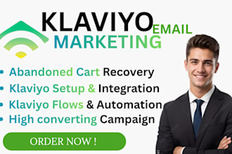 setup a developed klaviyo email marketing flows for shopify campaigns