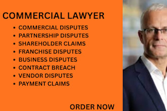 handle business disputes, vendor conflicts, shareholder, and franchise conflicts