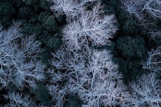 provide ambient meditation music for your videos or projects