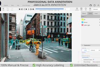 do professional image annotation and data labeling for ai