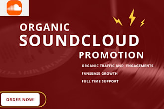 do professional soundcloud promotion for music track