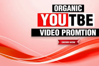 professional organic youtube promotion and audience growth