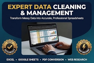 provide professional data management, CRM cleanup, and spreadsheet organization