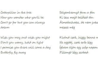 translate messages, poems, short novels etc