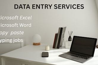 do accurate data entry, excel work and copy paste