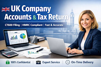 prepare UK company accounts and tax return