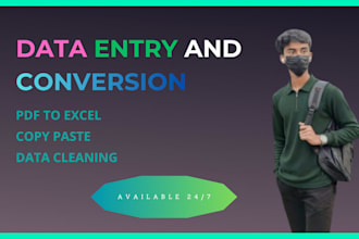 do professional data entry and conversion