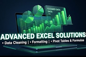 do professional excel data formatting, cleaning, and analysis