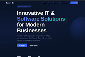 design and develop a professional business website