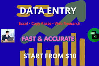 accurate data entry and excel tasks