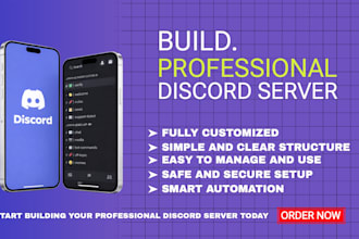 build professional discord server