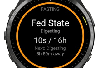 create professional garmin watch faces and widgets