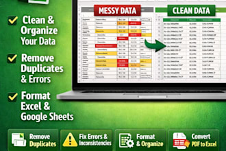 clean, organize, format, and fix messy excel or google sheets data