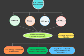 do mirna based genome silencing and visualization in r