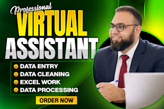 handle data entry, excel spreadsheets, and financial data accurately