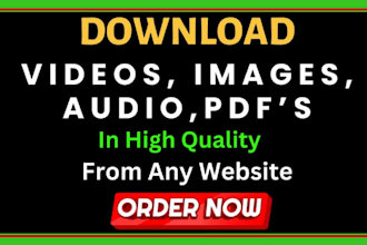 do professional upload and download service