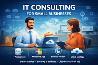 provide IT consulting for small businesses