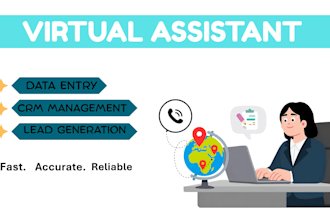 do data entry, CRM management and lead generation