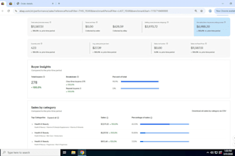 create and manage your ebay store professionally